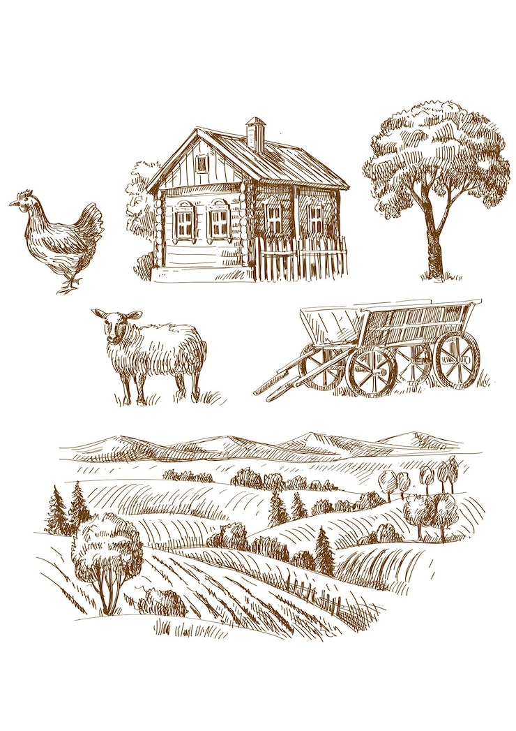 Vecteur vecteur de ferme