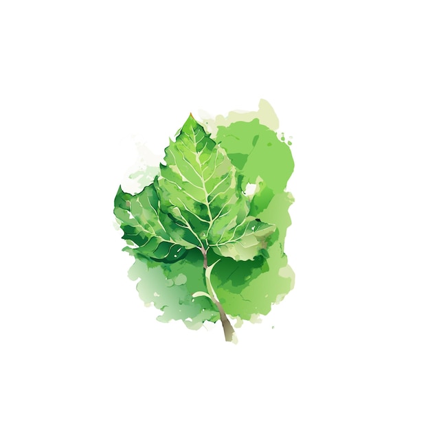 Vecteur de feuille verte minimaliste de style aquarelle