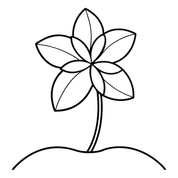 Vecteur de fleurs de plumeria à ligne plate