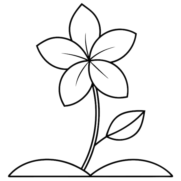 Vecteur de fleurs de plumeria à ligne plate