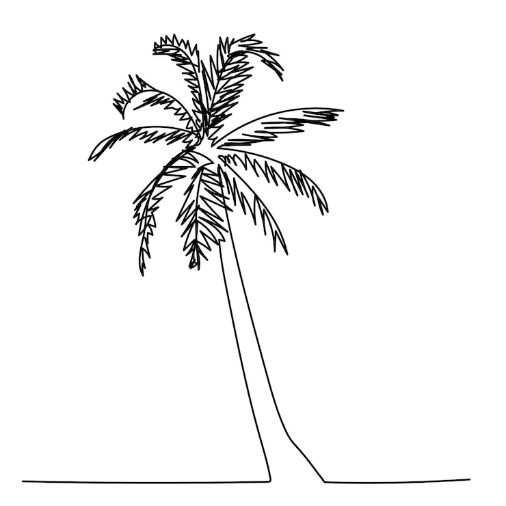 Vecteur vecteur fond blanc dessin au trait continu palmier