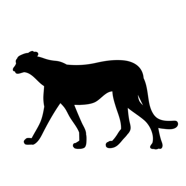 Vecteur sur fond blanc silhouette de guépard jaguar