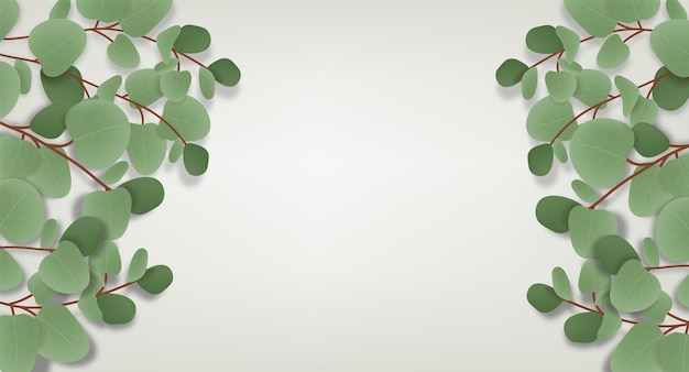 Vecteur de fond eucalyptus, bannière végétale, design minimaliste