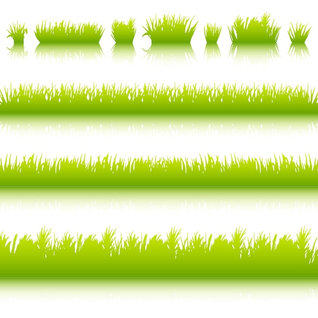 Vecteur le vecteur des frontières de l'herbe verte est défini