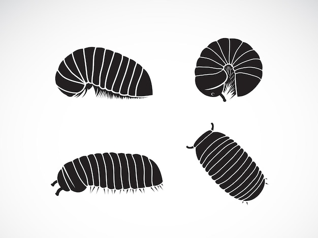 Vecteur de groupe de comp mille-pattes wormOniscomorpha isolé sur fond blanc Icône de ver ou logo Glomerida Animal Insecte