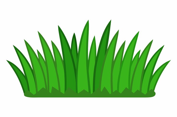Vecteur vecteur d'herbe verte pour le dessin animé