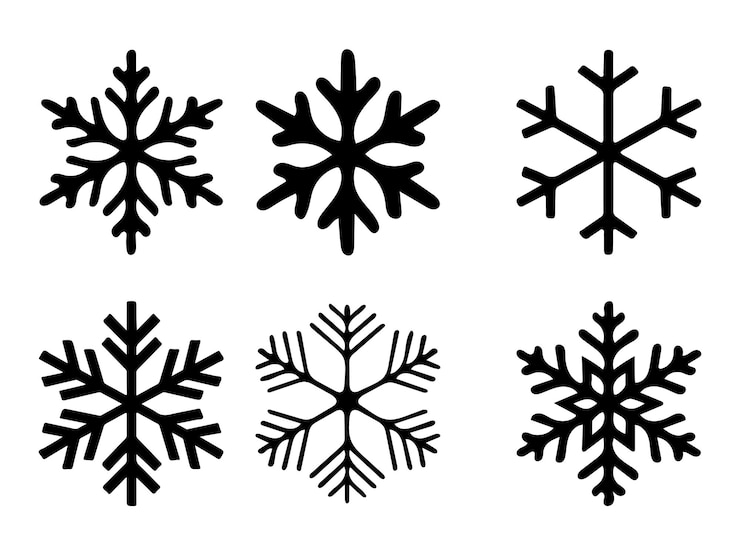Vecteur le vecteur de l'icône des flocons de neige sur fond blanc