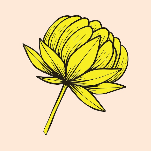 vecteur d'illustration de fleur de soleil