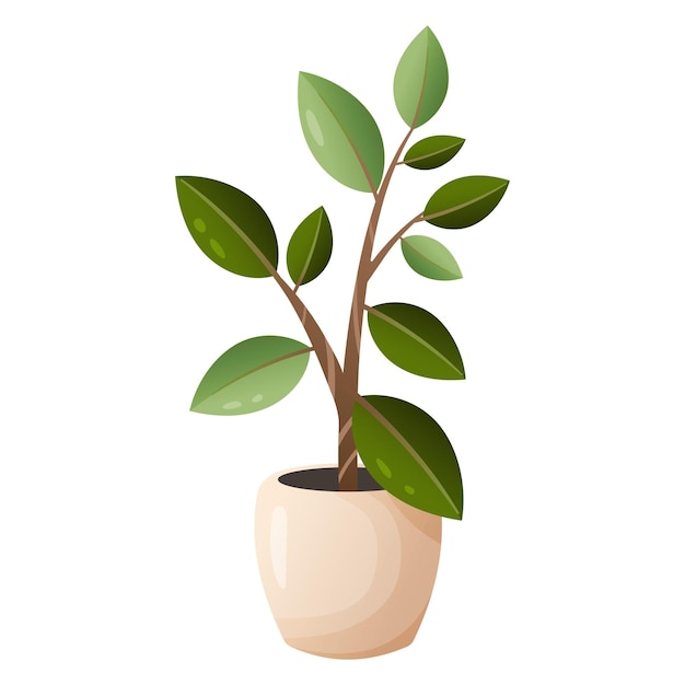 Un Vecteur Illustration De Plante Ficus Dans Un Pot Beige Clair