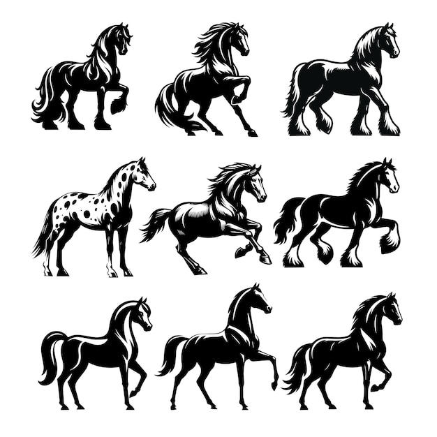 Vecteur D'illustration De La Silhouette Du Cheval Set