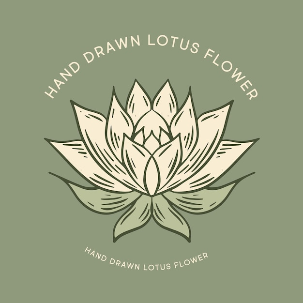 Vecteur D'illustrations Dessinées à La Main Lotus