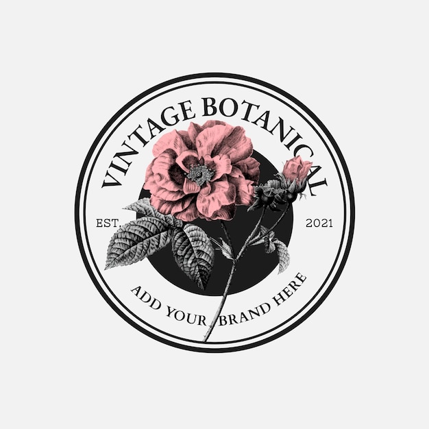 Vecteur D'insigne D'affaires Rose Vintage Pour Marque De Beauté Bio