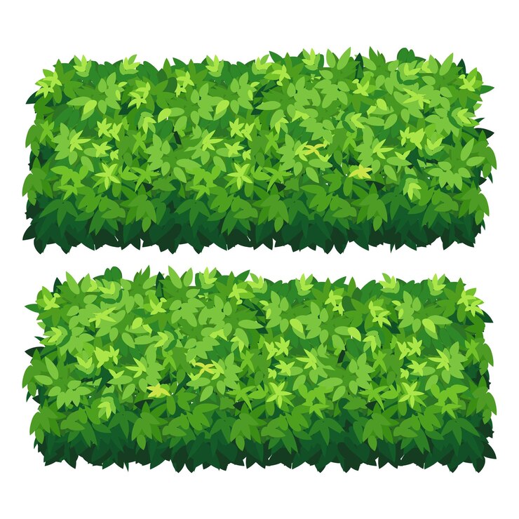 Vecteur jardin buisson isolé arbuste haie buisson vert dessin animé herbe arbuste plante