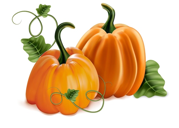 Vecteur de jeu de citrouilles 3D réalistes détaillées avec des feuilles vertes