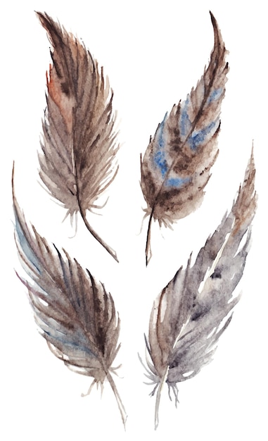 Vecteur de jeu de plumes grises grises brunes aquarelle isolé