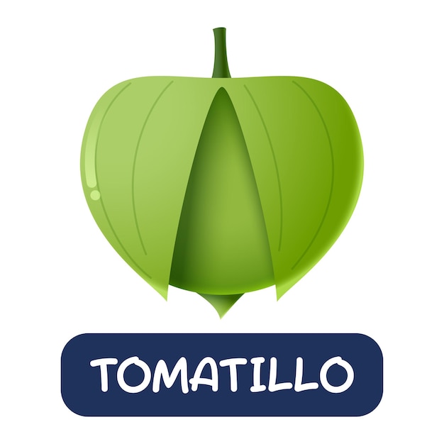 Vecteur De Légumes Tomatillo Dessin Animé Isolé Sur Fond Blanc