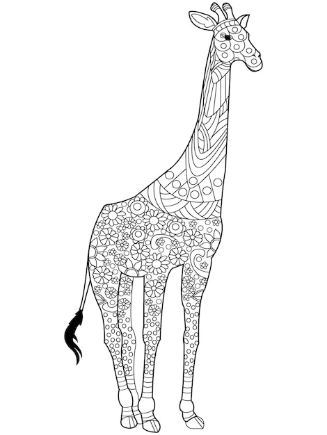 Vecteur de livre de coloriage girafe pour adultes