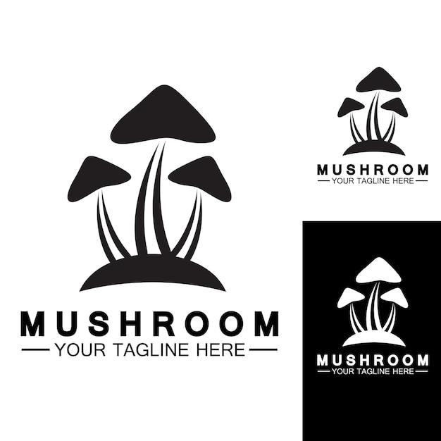 Vecteur de logo de champignon Modèle de conception d'aliments biologiques modernes ou agricoles simples