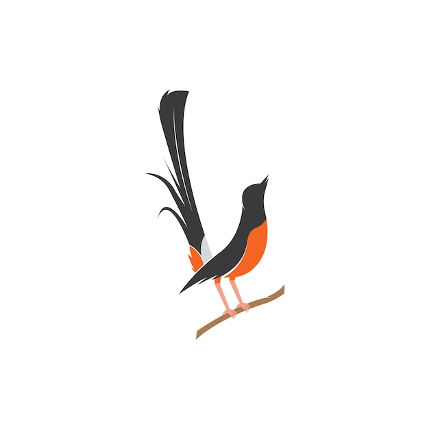 Vecteur De Logo Oiseau Murai