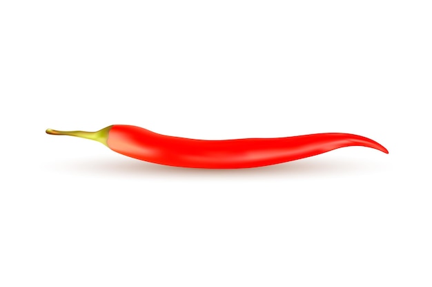 Vecteur de maille réaliste de piment rouge isolé sur fond blanc