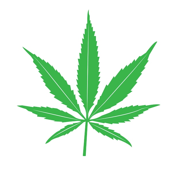 Vecteur de marijuana icône feuille