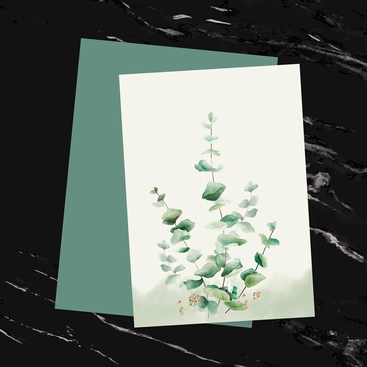 Vecteur vecteur de modèle de carte d'invitation de feuille d'eucalyptus dessiné à la main