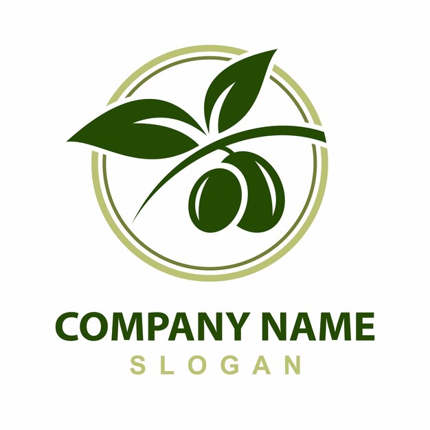 Vecteur De Modèle De Conception De Logo Olive