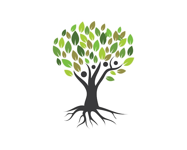 Vecteur De Modèle De Logo Arbre Généalogique