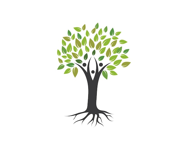 Vecteur De Modèle De Logo Arbre Généalogique