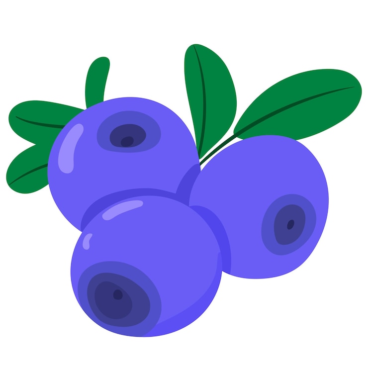Vecteur vecteur de myrtille sur fond blanc, style cartoon dessiné à la main. illustration d'art clip fruit plat