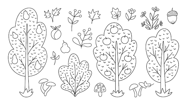 Vecteur noir et blanc automne forêt ou jardin arbres fruitiers plantes arbustes buissons champignons ensemble contour automne pomme et poire jardin illustration collection d'icônes de ligne de verdure naturellexA