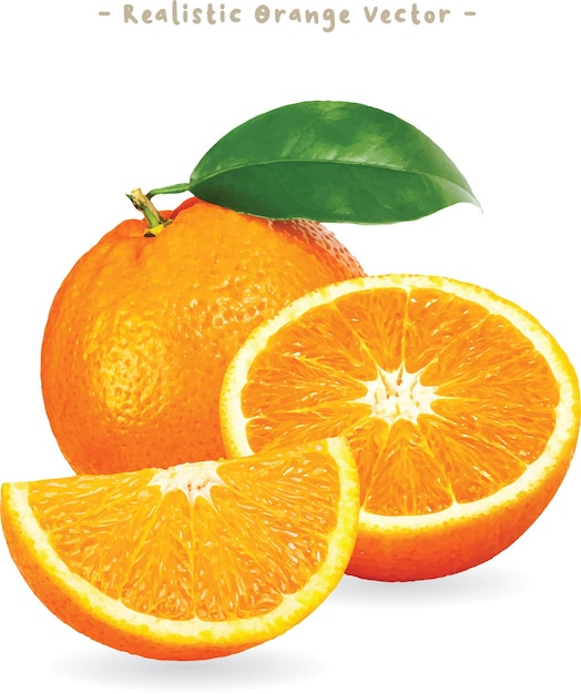 Vecteur orange réaliste