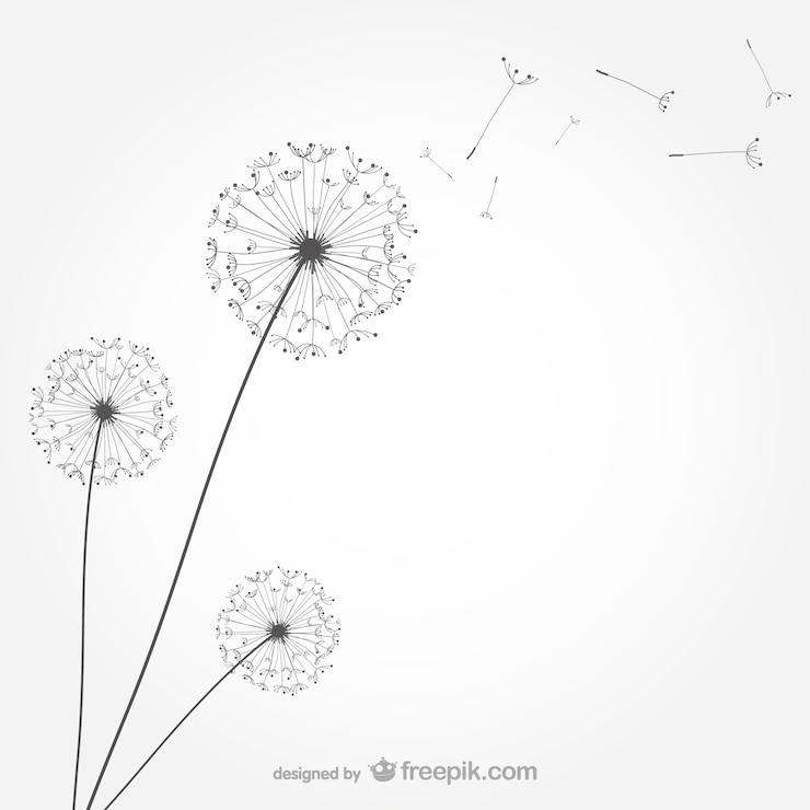 Vecteur vecteur de pissenlit minimaliste