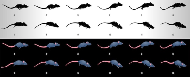 vecteur de séquence d'animation de cycle d'exécution de souris