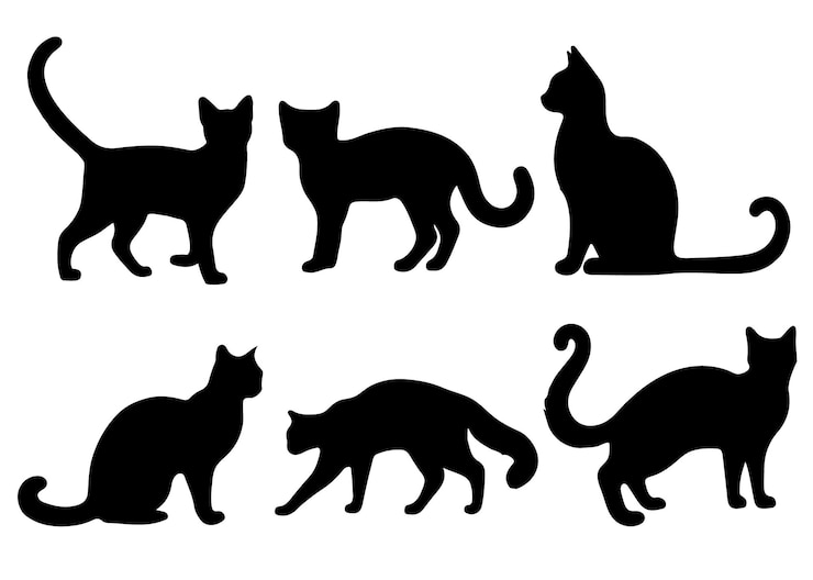 Vecteur vecteur de silhouette de chat ensemble de silhouettes de chat isolé