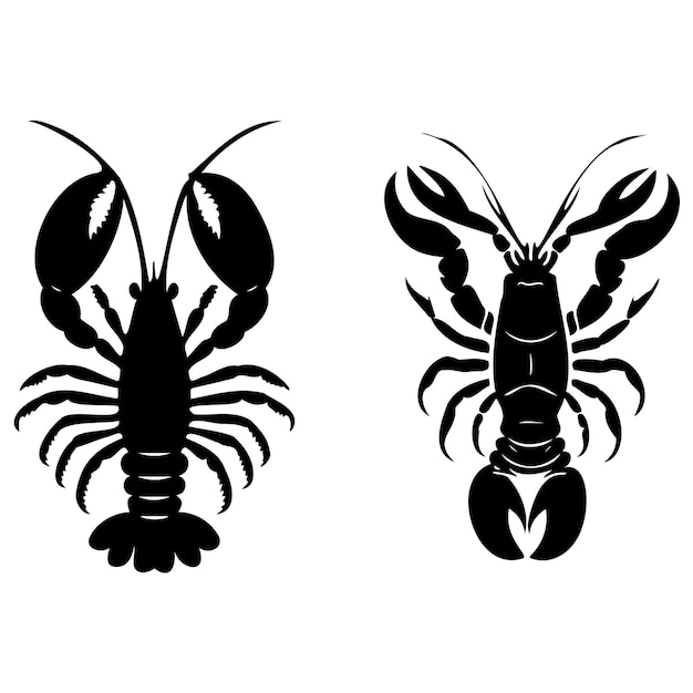Vecteur de silhouette de crevette sur fond blanc