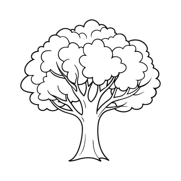 Vecteur vecteur de silhouettes d'arbres