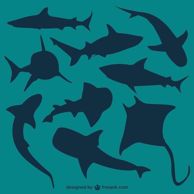 Vecteur Silhouettes Requins