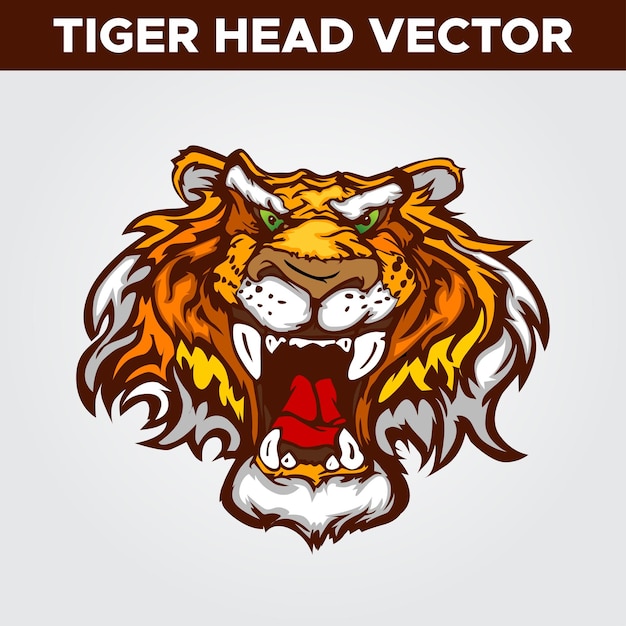 Vecteur De Tête De Tigre