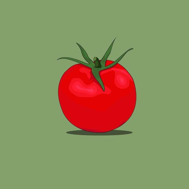 Vecteur De Tomate Sur Fond Coloré