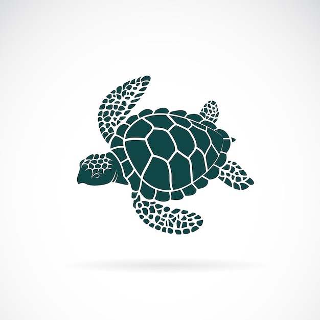 vecteur, de, tortue, conception, sur, a, fond blanc, animaux sauvages, animal sous-marin, tortue, icône, ou, logo