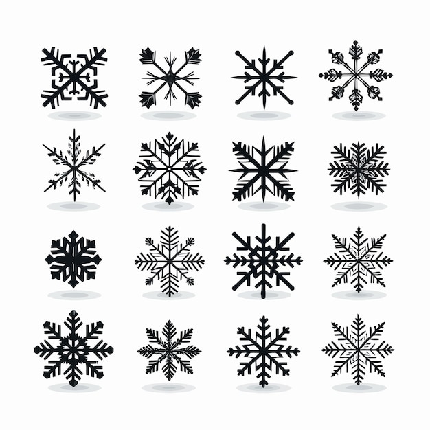 Vecteurs De Flocons De Neige Noirs Et Blancs