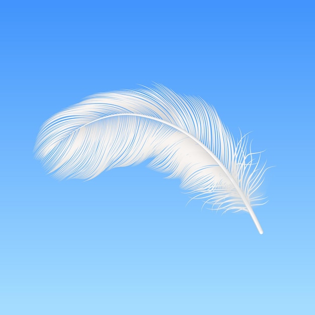 Vector 3d Réaliste chute de plumes blanches et moelleuses en gros plan sur le ciel bleu