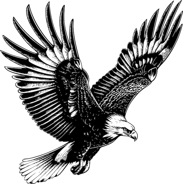 Vecteur vector d'aigle noir et blanc