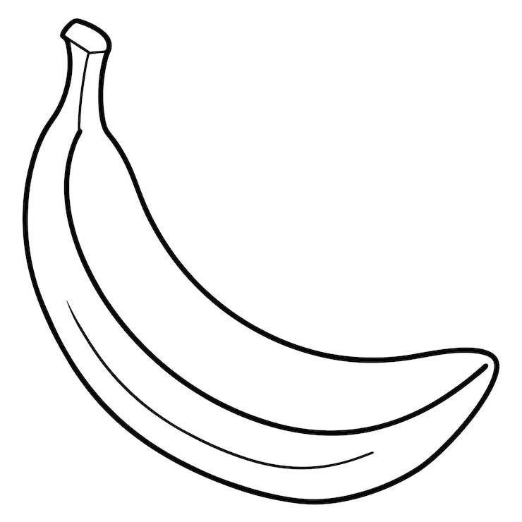 Vecteur vector de banane et illustration