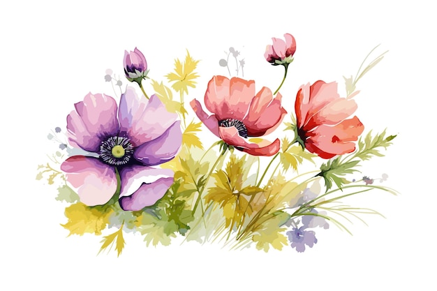 Vector de belles fleurs à l'aquarelle avec un fond blanc