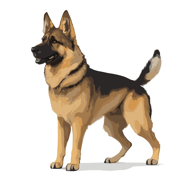 Vecteur vector berger allemand chien clipart d'animal fond blanc modifiable.