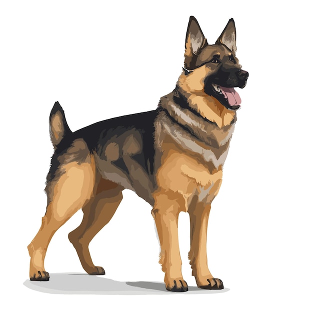 Vector berger allemand chien clipart d'animal fond blanc modifiable.