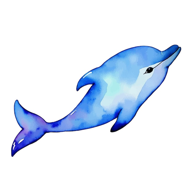 Vector de dauphins à l'aquarelle