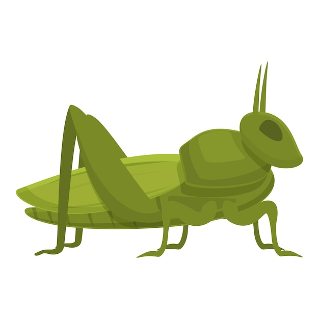 Vector de dessin animé de l'icône de la sauterelle de cricket Insecte animal
